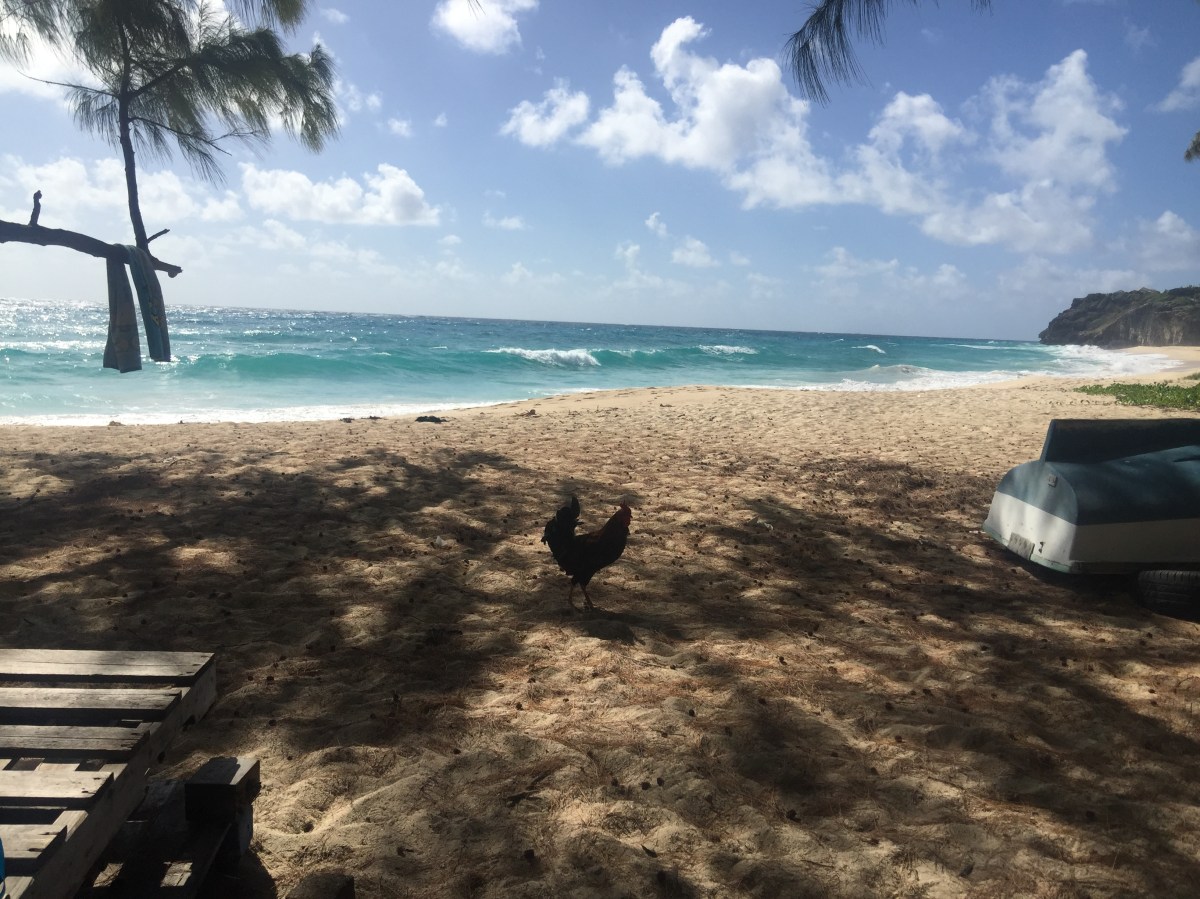 Sunday, December 27th, Month 10 of our Covid-19&nbsp;Experience.